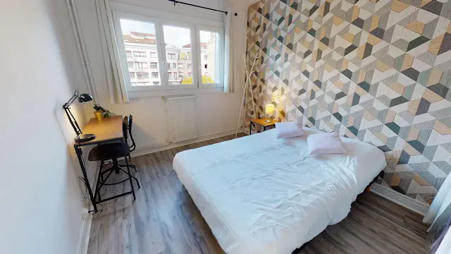 Private room in Rue Alexandre Boutin, Villeurbanne (1515178) room image 2