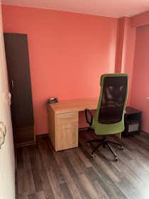 Private room for rent for €500 per month in Gent, Biezenstuk