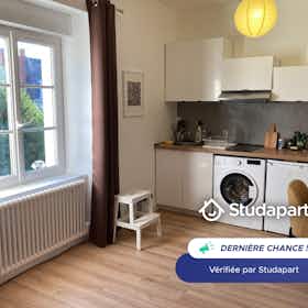 Lägenhet att hyra för 570 € i månaden i Angers, Rue Delaage