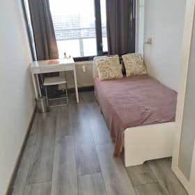 Отдельная комната сдается в аренду за 650 € в месяц в Rotterdam, Huniadijk