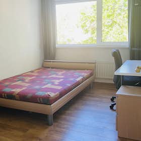 Отдельная комната сдается в аренду за 850 € в месяц в Leiden, Joseph Haydnlaan