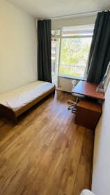 私人房间 正在以 €850 的月租出租，其位于 Leiden, Joseph Haydnlaan