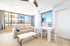 Apartamento en alquiler por 10 € al mes en Benidorm, Avenida de Juan Fuster Zaragoza