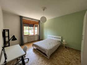 Privat rum att hyra för 370 € i månaden i Forlì, Viale Livio Salinatore