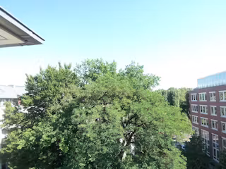 Wigandstaler Straße, Berlin 1-Berlin-ROOM-1