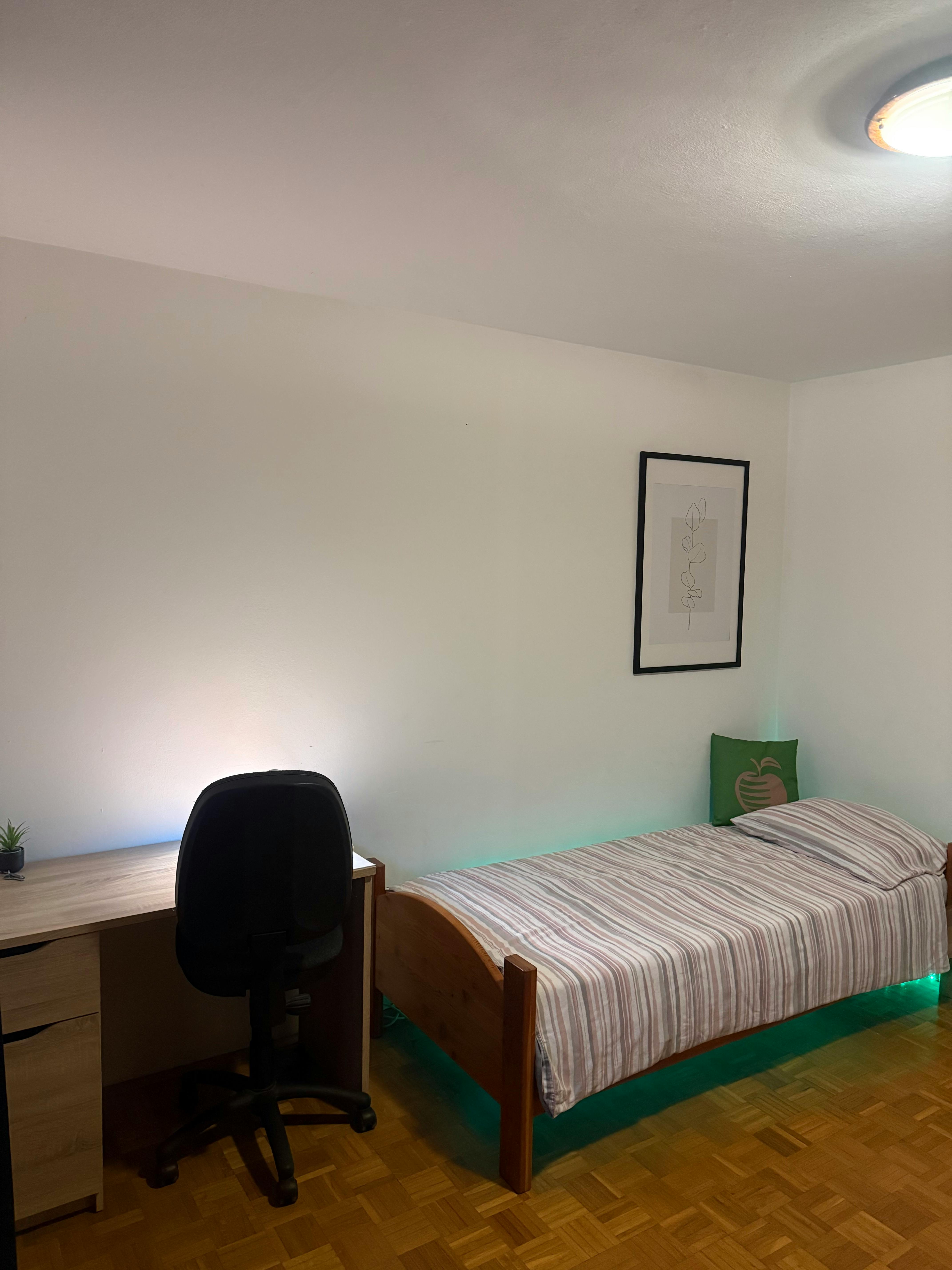 Cesta v Zeleni Log, Ljubljana preview