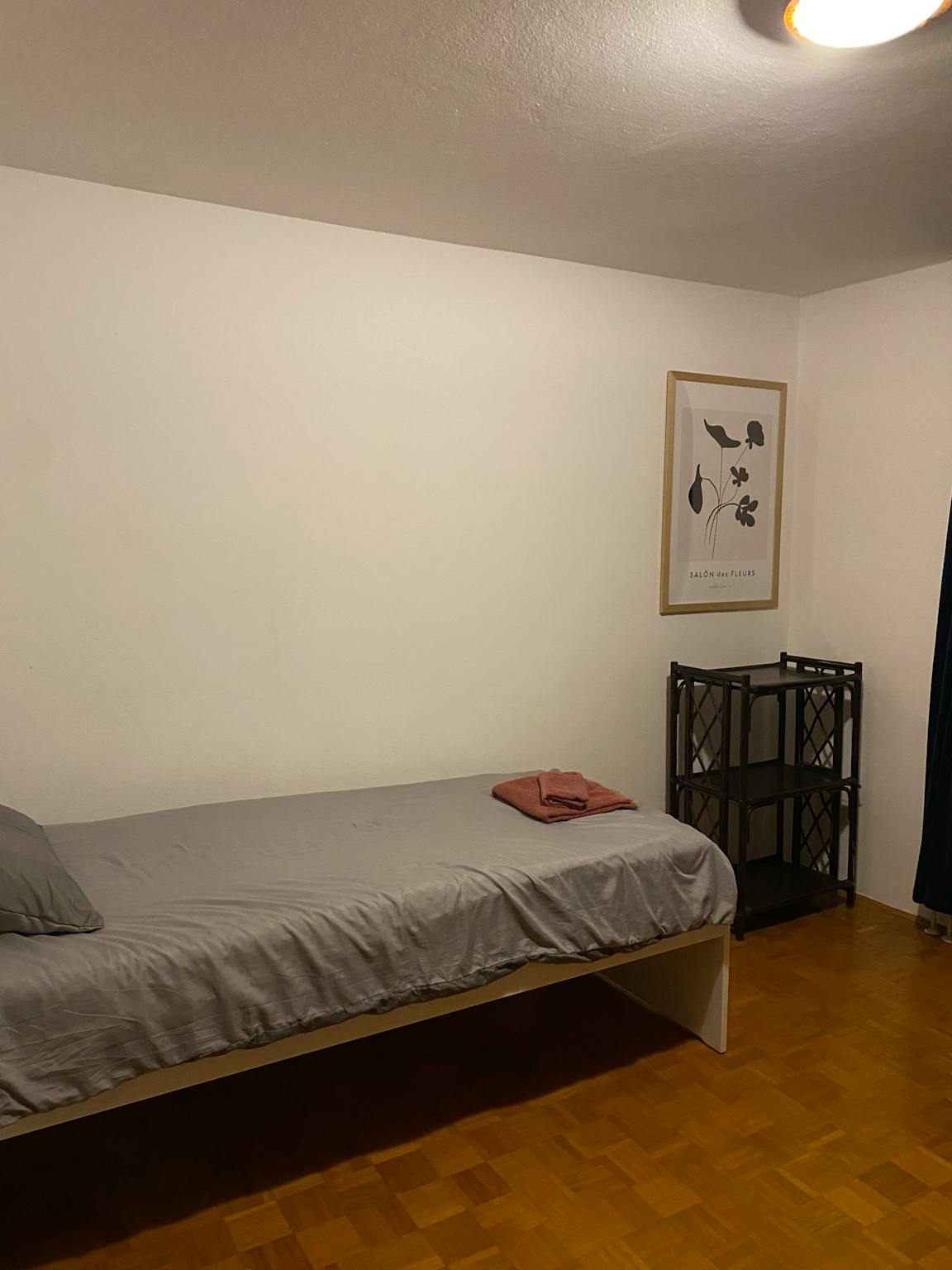 Cesta v Zeleni Log, Ljubljana preview