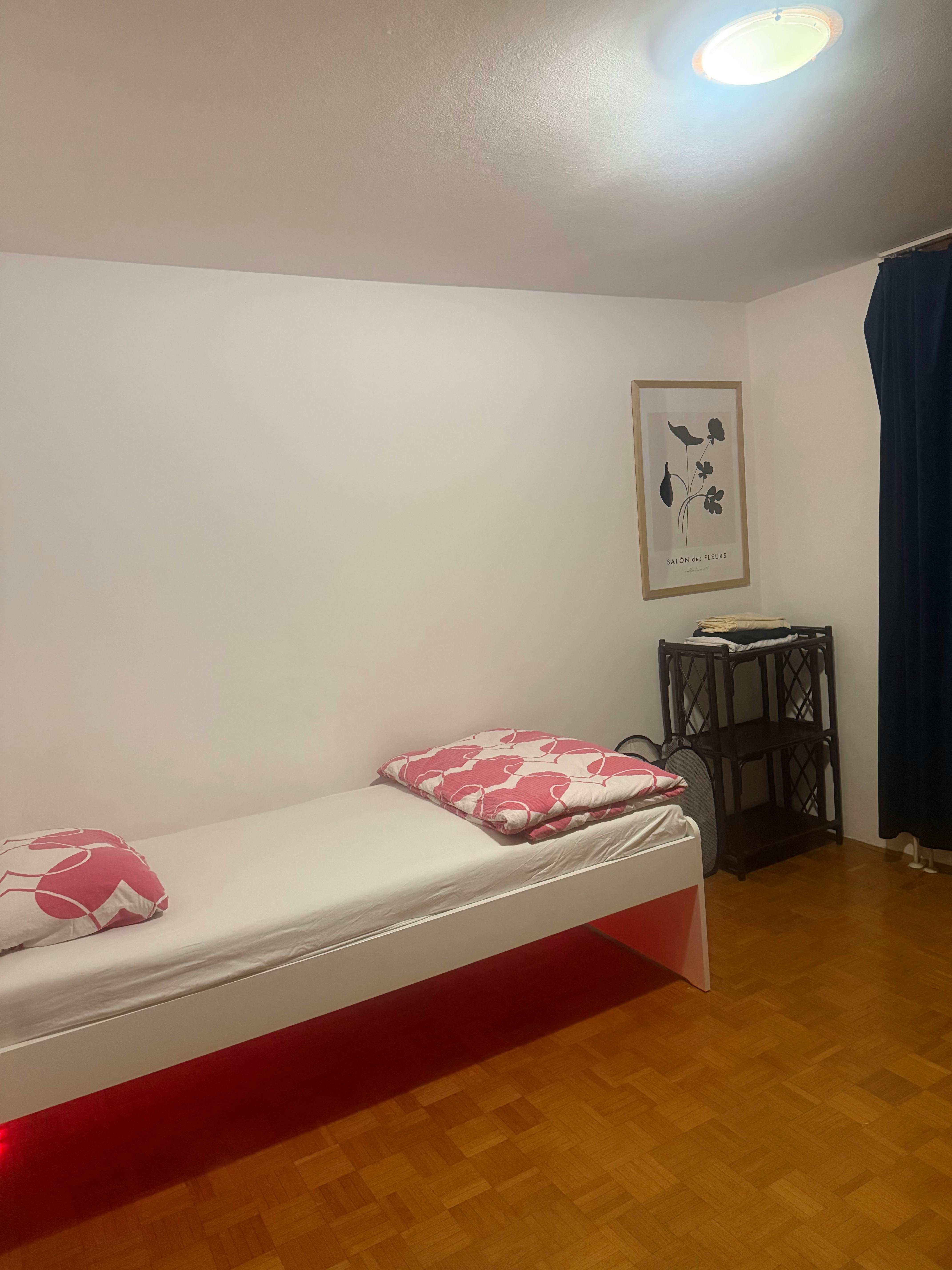 Cesta v Zeleni Log, Ljubljana preview