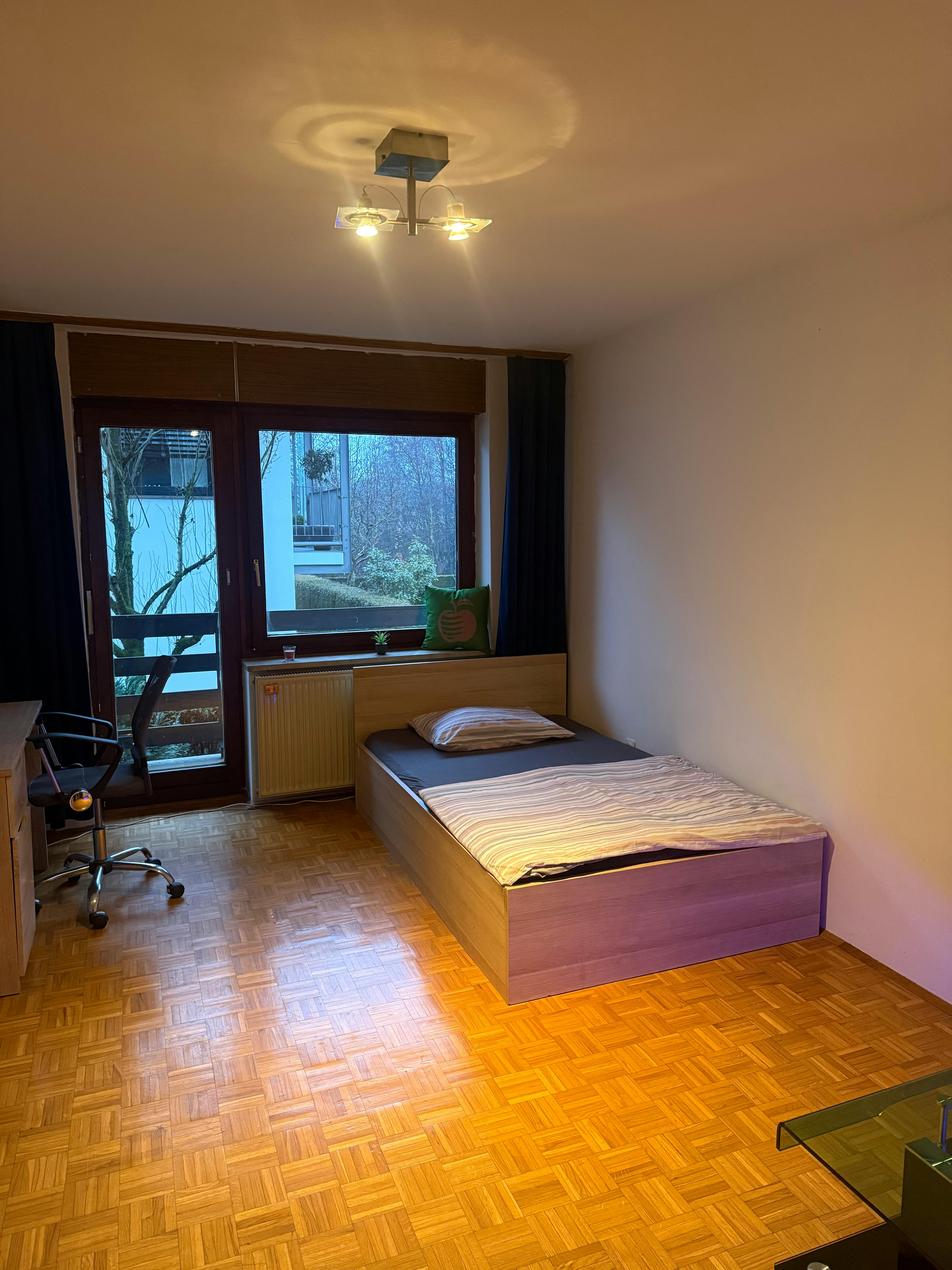 Cesta v Zeleni Log, Ljubljana preview