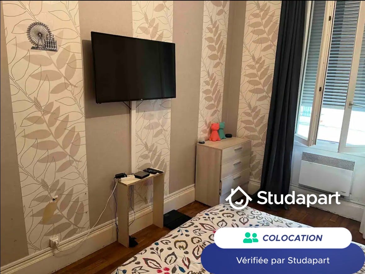 Private room for rent on Rue du Dauphiné, Lyon - Widok 4