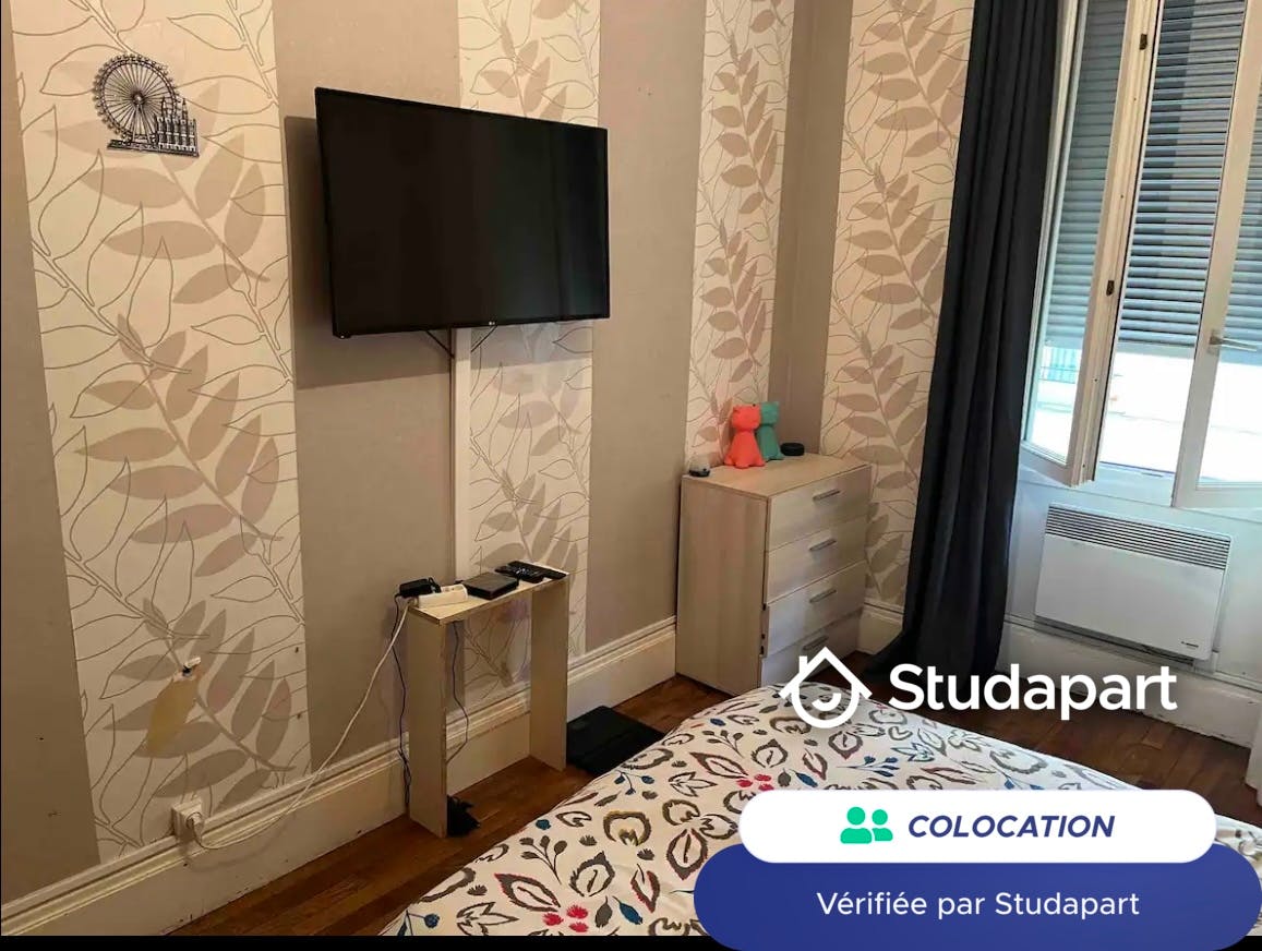 Private room for rent on Rue du Dauphiné, Lyon - Widok 5