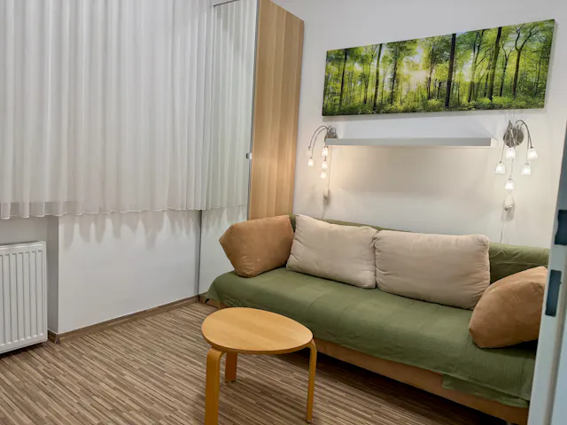 1-Bedroom Apartment in Engerthstraße, Vienna room image 4