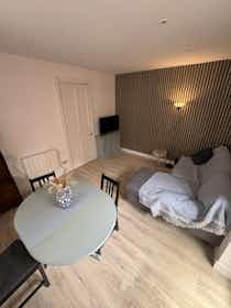 Приватна кімната за оренду для 550 EUR на місяць у Bilbao, Uribarri kalea