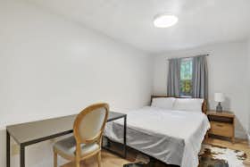 Отдельная комната сдается в аренду за 543 € в месяц в Boston, Vine Ave