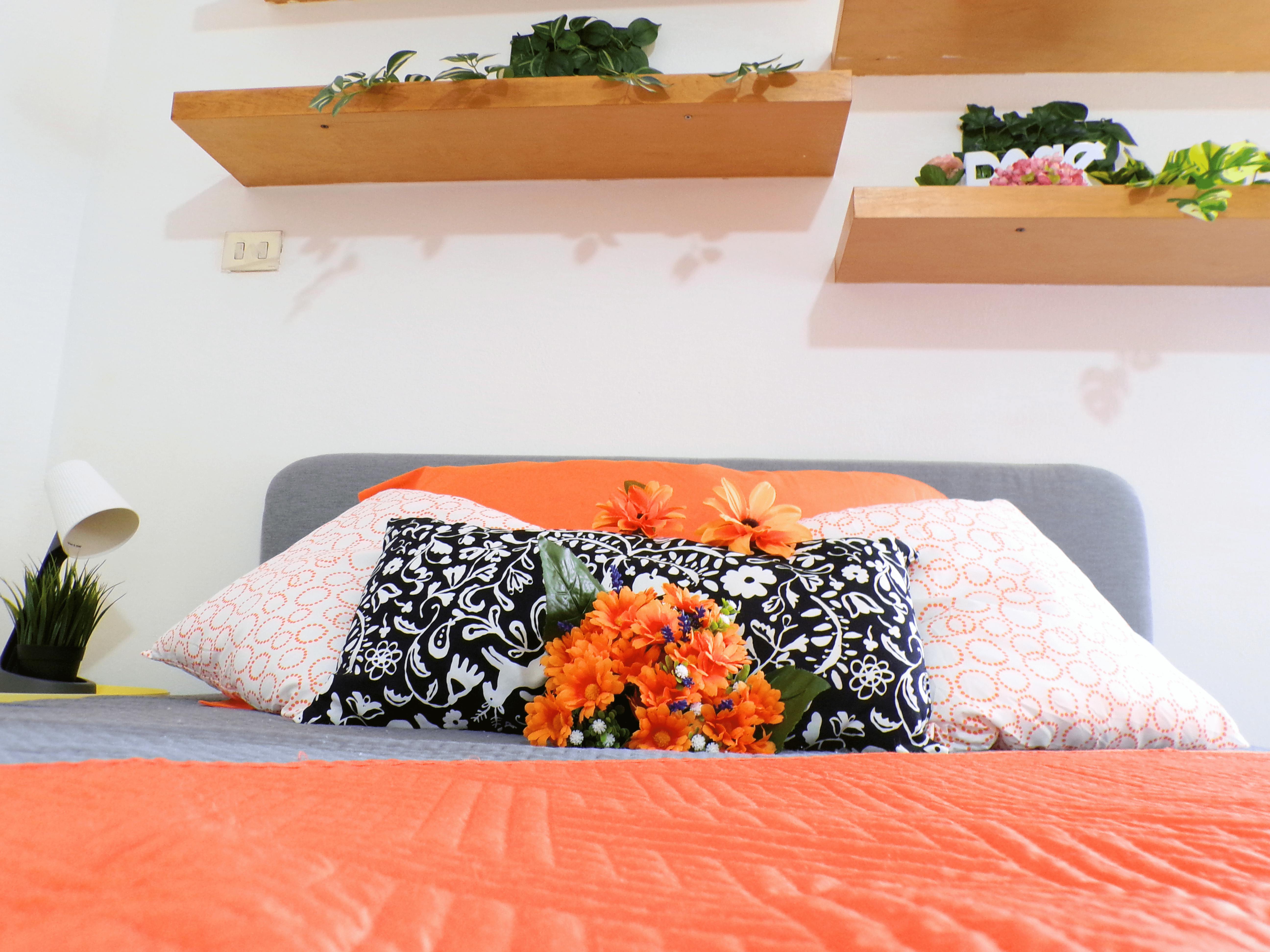 Single room Bologna, 1 bed, 40m² — photo 19