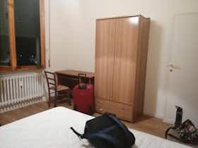 Private room for rent for €500 per month in Florence, Lungarno Cristoforo Colombo