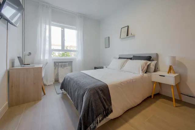 Private room in Paseo de la Castellana, Madrid (1517866) room image 1