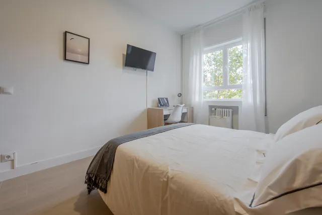 Private room in Paseo de la Castellana, Madrid (1517866) room image 2