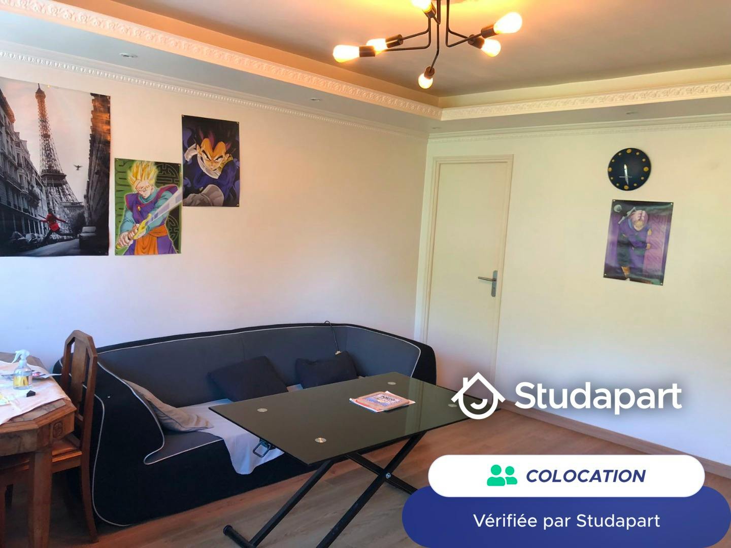 Private room for rent on Domaine de Château-Gaillard, Maisons-Alfort