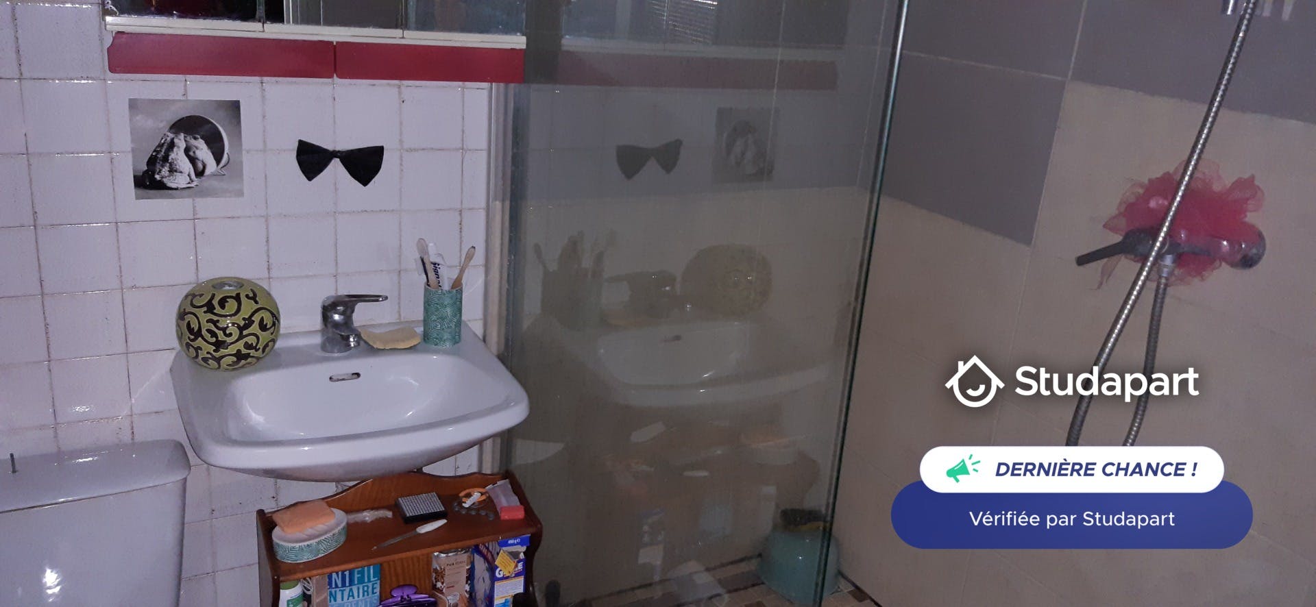 Apartment for rent on Rue des 3 Maisons, Lyon - Widok 5