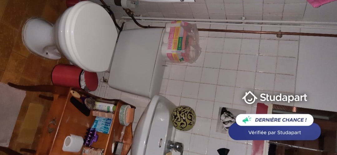 Apartment for rent on Rue des 3 Maisons, Lyon - Widok 6