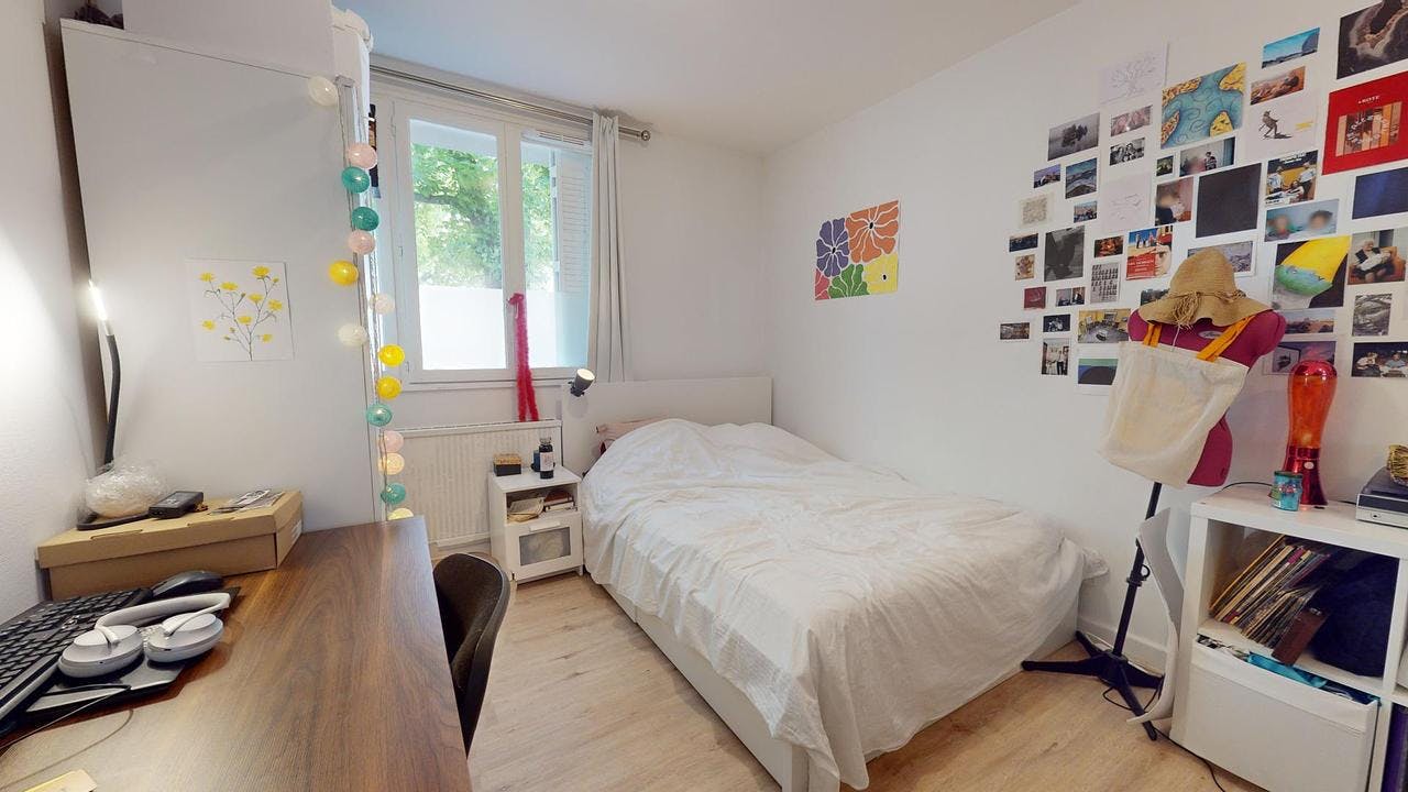 Private room for rent on Rue Baraban, Lyon – pohled 5