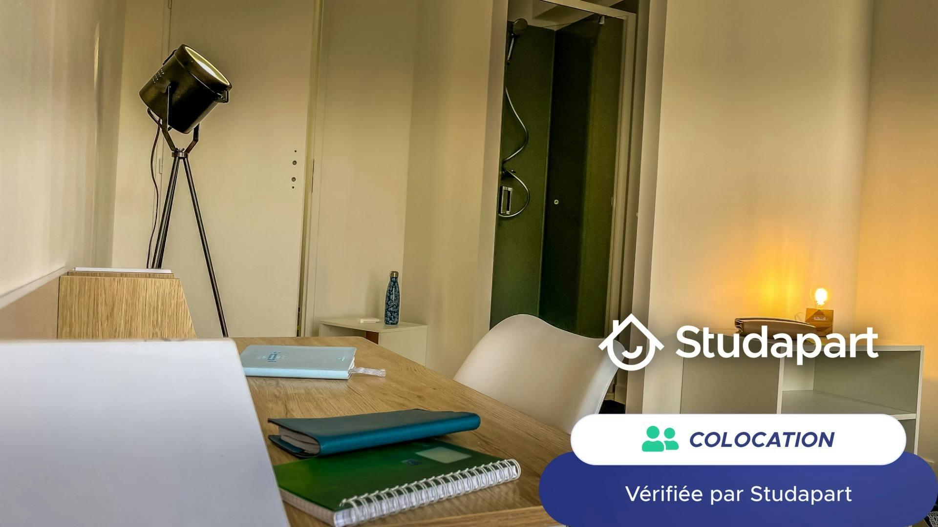 Private room for rent on Place de Martigues, Toulouse - Vue 5