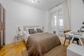 Private room for rent for €750 per month in Madrid, Calle Doctor Castelo