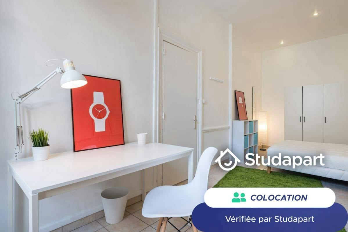 Private room for rent on Rue de l'Ancienne Préfecture, Lyon - Plus