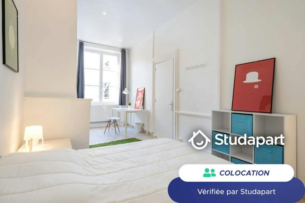 Private room for rent on Rue de l'Ancienne Préfecture, Lyon - Vue 5