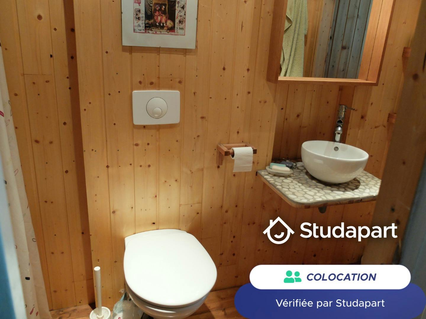 Private room for rent on Avenue de la Gare de Legé, Nantes - Plus