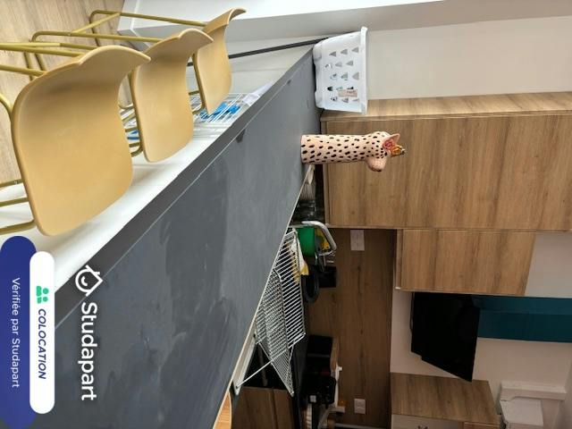 Private room for rent on Rue Sainte-Anne, Lille - Vue 5