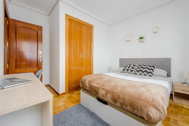 Private room in Calle de Sinesio Delgado, Madrid (1520217) room image 2
