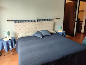 Appartamento in affitto a 4.111 € al mese a Pedara, Via delle Ginestre