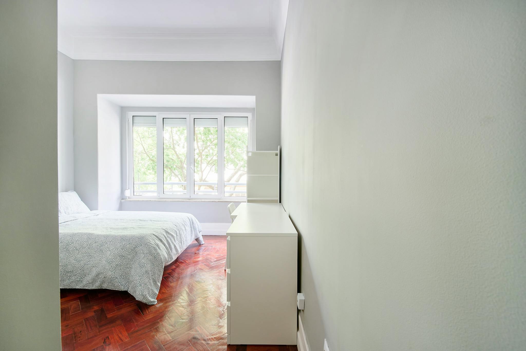 Avenida Elias Garcia, Lisbon preview