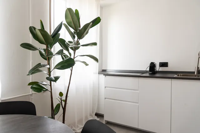 1-Bedroom Apartment in Via Giuseppe Terragni, Milan (1521523) room image 50