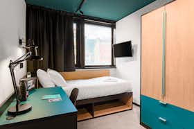 Private room for rent for €490 per month in Trieste, Via dei Bonomo