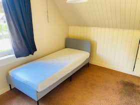 Спільна кімната за оренду для 960 EUR на місяць у Otterlo, Westenengerdijk