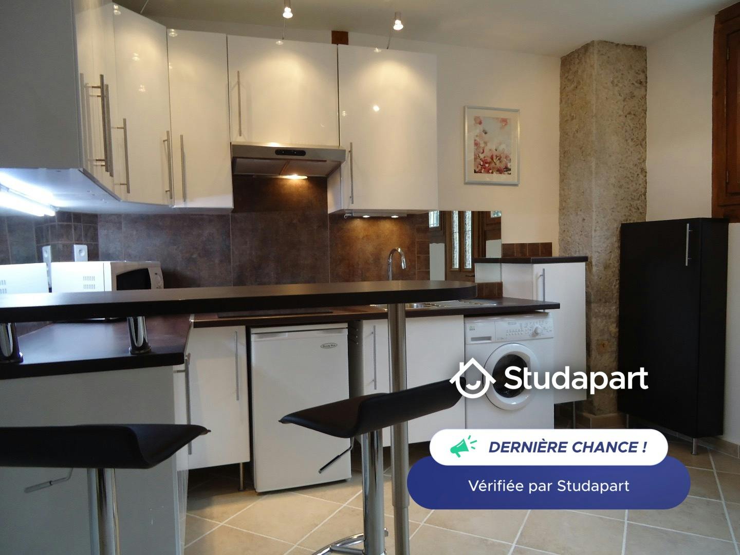 Apartment for rent on Quai des Étroits, Lyon