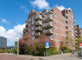 Lägenhet att hyra för 1 500 € i månaden i Leiden, Morssingel