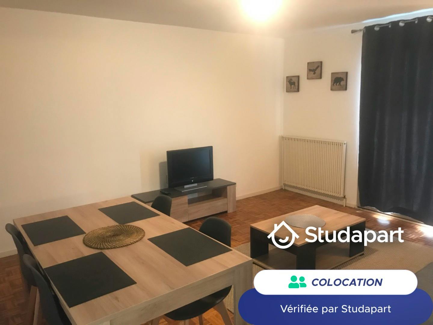Private room for rent on Rue de la Touraine, Toulouse - Plus