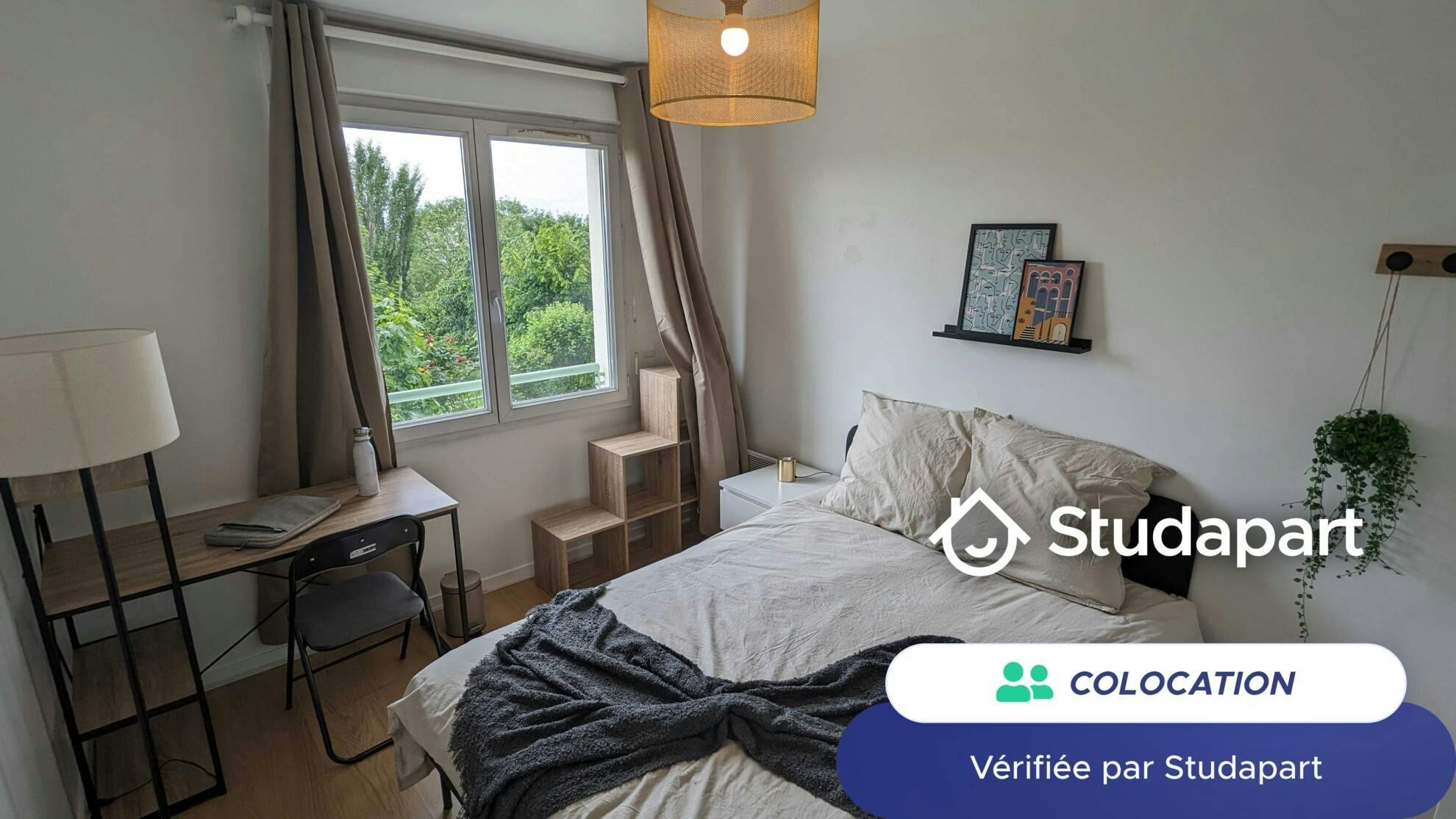 Private room for rent on Boulevard Rodin, Issy-les-Moulineaux - Vista 4