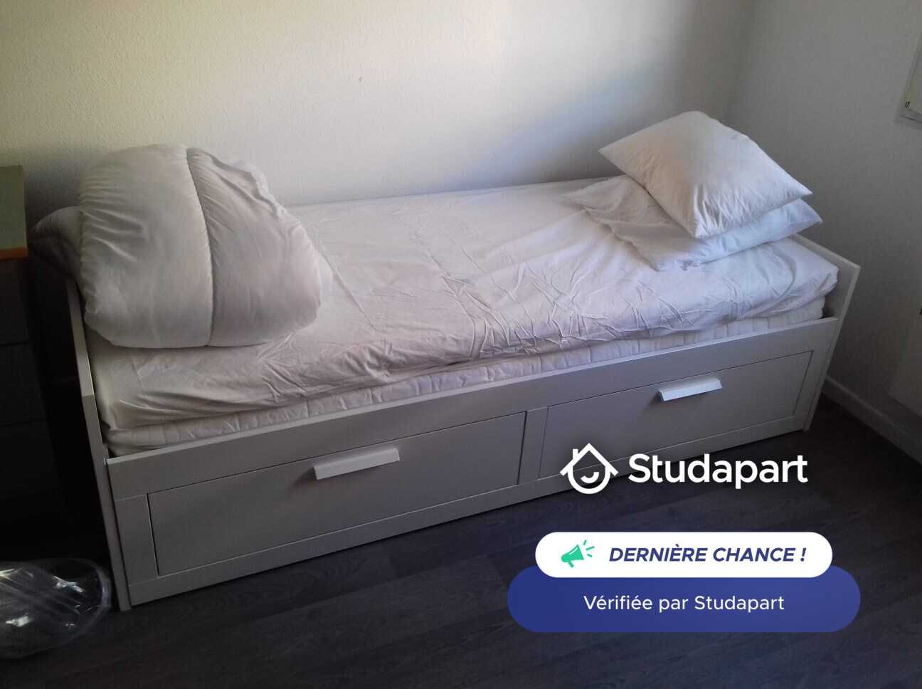 Apartment for rent on Rue Henri Pensier, Lyon - Widok 6
