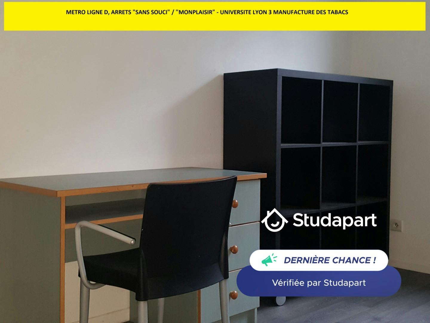 Apartment for rent on Rue Henri Pensier, Lyon - Widok 4