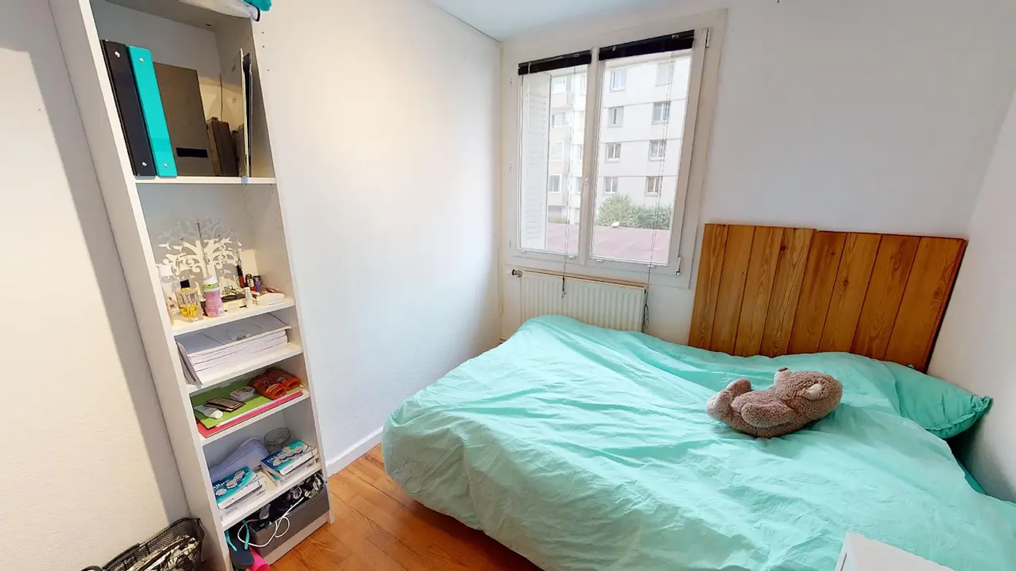 Boulevard Joseph Vallier, Grenoble preview