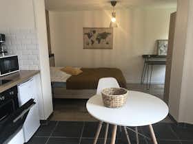 Studio for rent for €550 per month in Toulouse, Rue de Londres