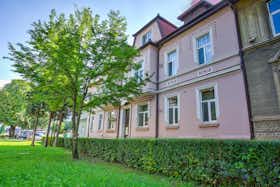 Quarto privado para alugar por RON 7.465 por mês em Braşov, Strada Castanilor