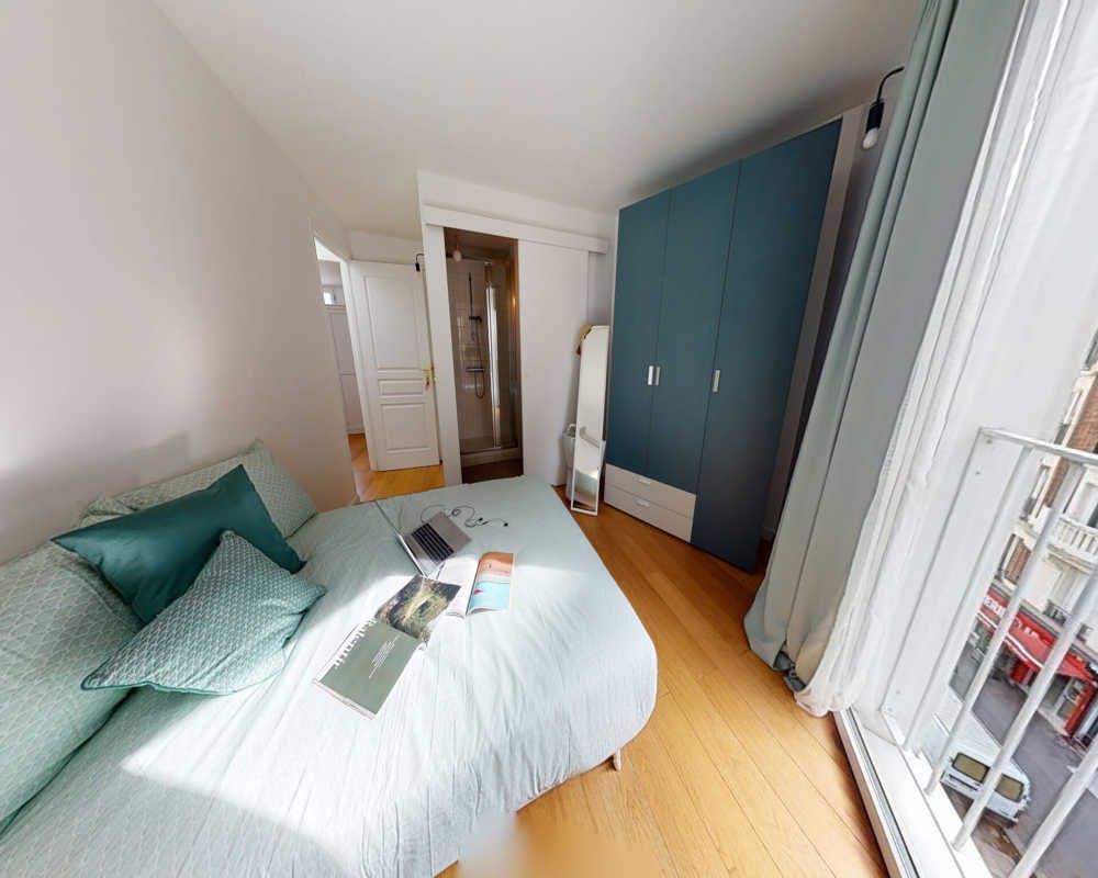 Rue de Belleville, Paris preview