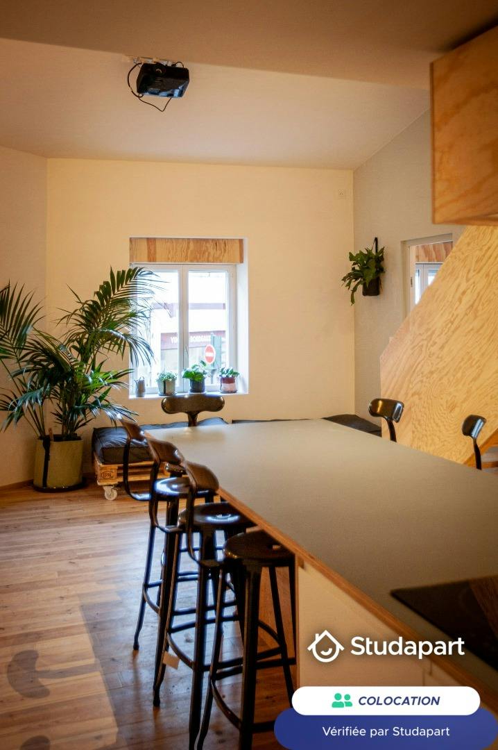 Private room for rent on Rue David Johnston, Bordeaux - Vue 5