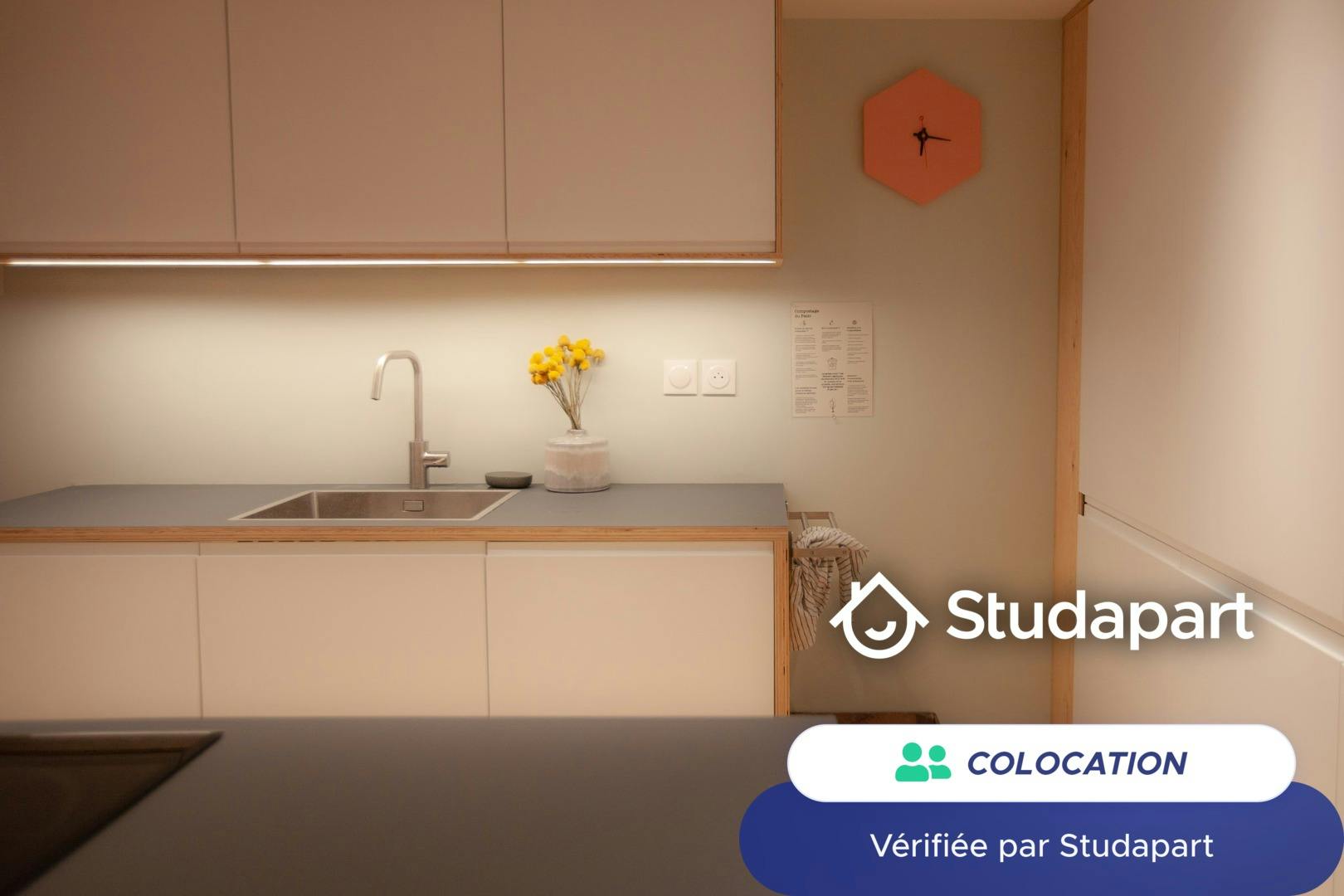 Private room for rent on Rue David Johnston, Bordeaux - Vue 3